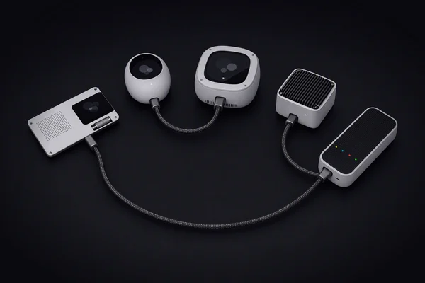 A card computer, an assistant, a compute cell, a mini computer and a server sled joined by one cable that loops back to the card